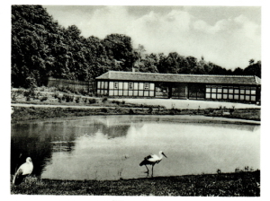 Senftenberg